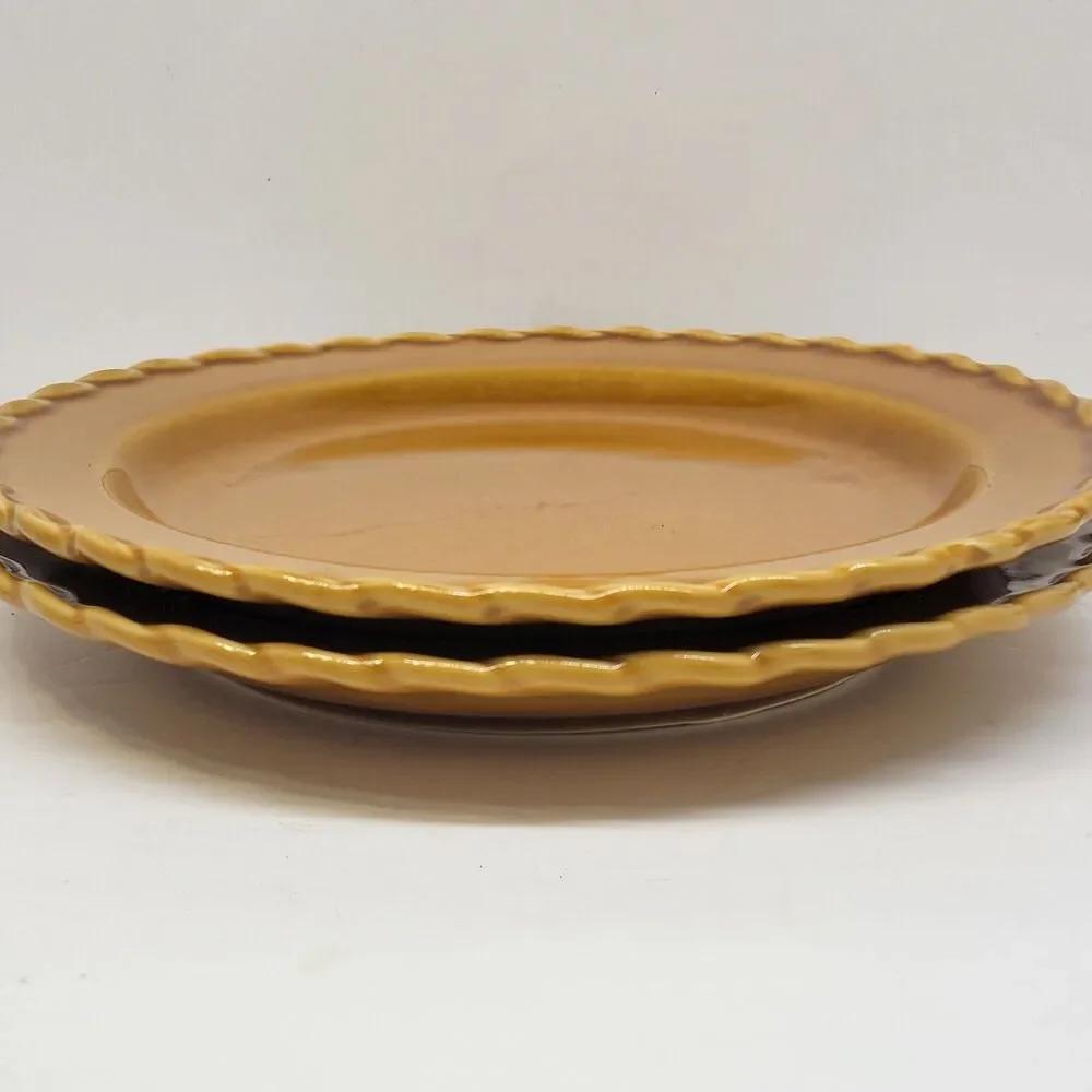 Pottery Barn Outlet Set Of 2 Burnt Orange 10 3/4